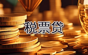 景德镇税票贷